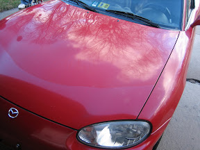 [Image: IMG_1441.jpg]