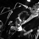 Arcade Fire