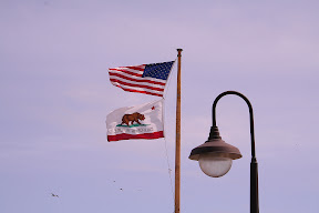California Republic Bear Flag