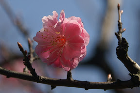 http://lh3.google.com/image/fotoByMe/RfQP_w5_EJI/AAAAAAAAD4I/qYuCFTzRsI4/s288/PICT0131.JPG