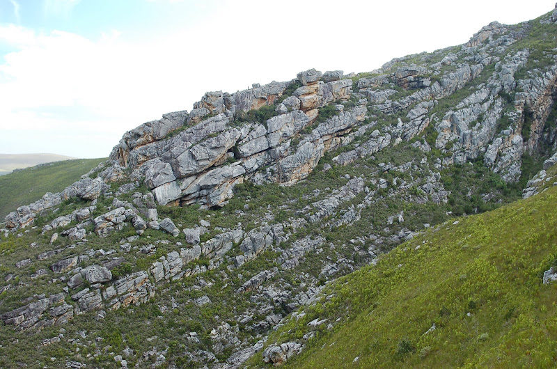 geology of wildcliff