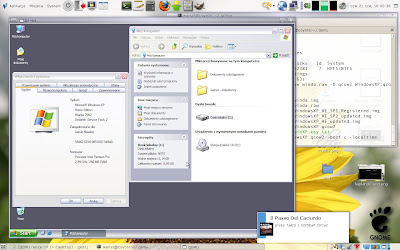 WindowsXP on qemu - disk resized