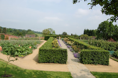 Golden Rose walk