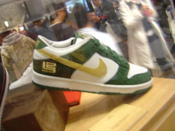 LeBron8217s nonsignature shoes Nike Dunk