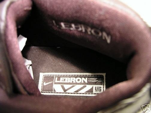 Nike Zoom LeBron II GSM brown PE