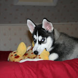 My Photo