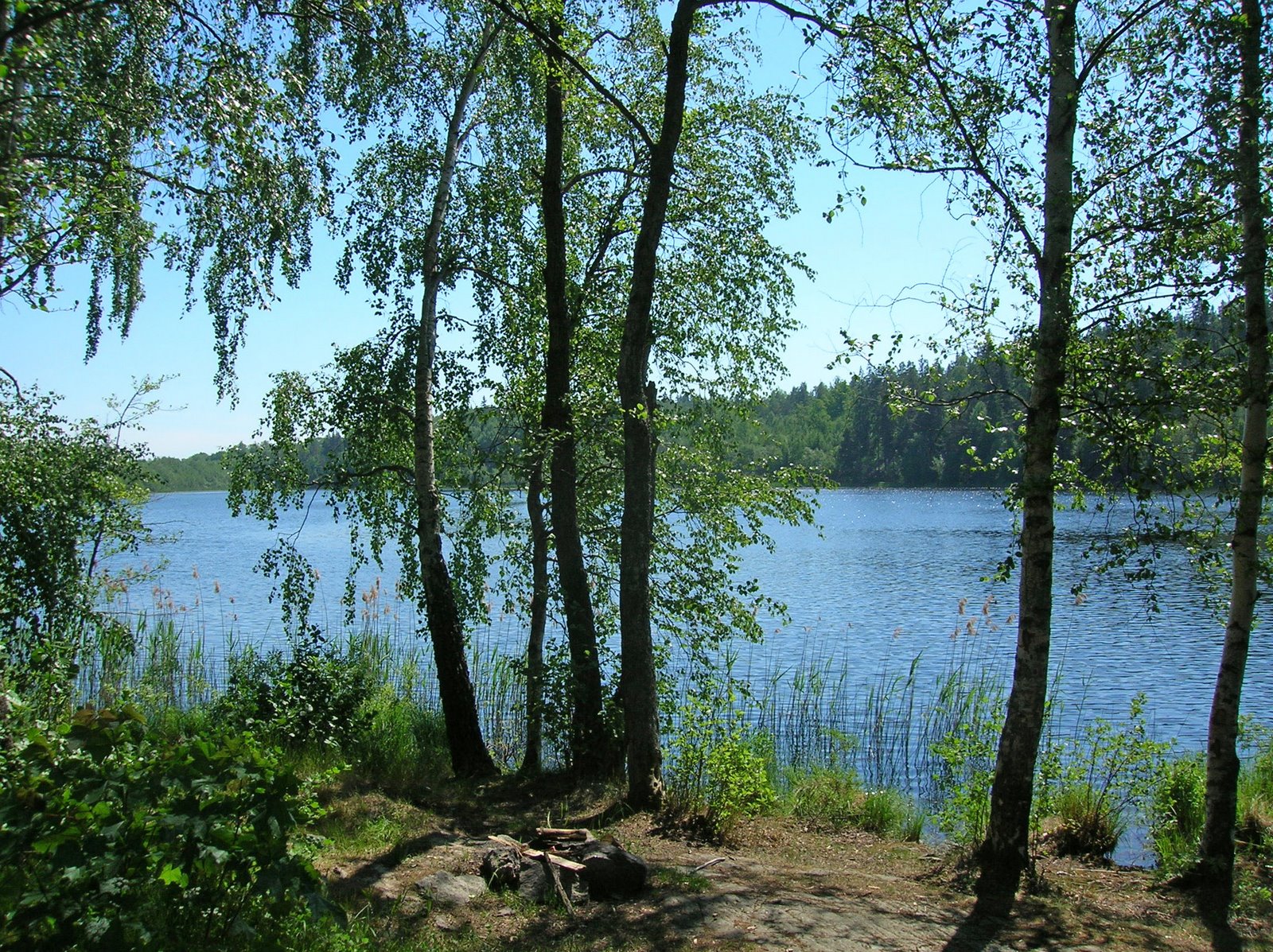 mörtsjön