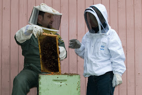 2007-03-Alyssa Bees 0027.jpg