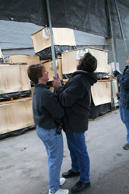 Poultry Sale photo