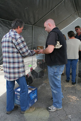 Poultry Sale photo