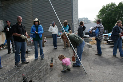 Poultry Sale photo