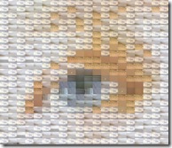 rectangular 19-jan-2008