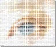 open grid mesh 18-dec-2007