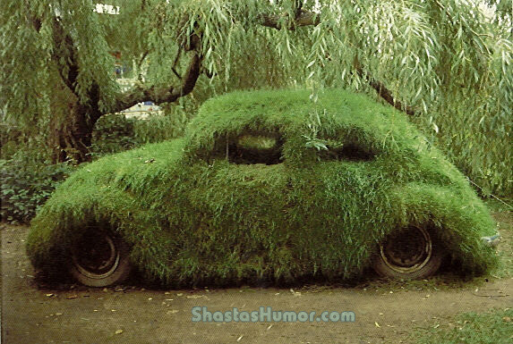 [grass_car (4).jpg]