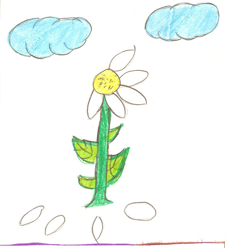 Flor%201.jpg?imgmax=512