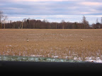 IMG_8855.jpg