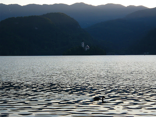 First look at the lake