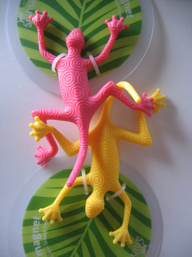 Gecko Magnets