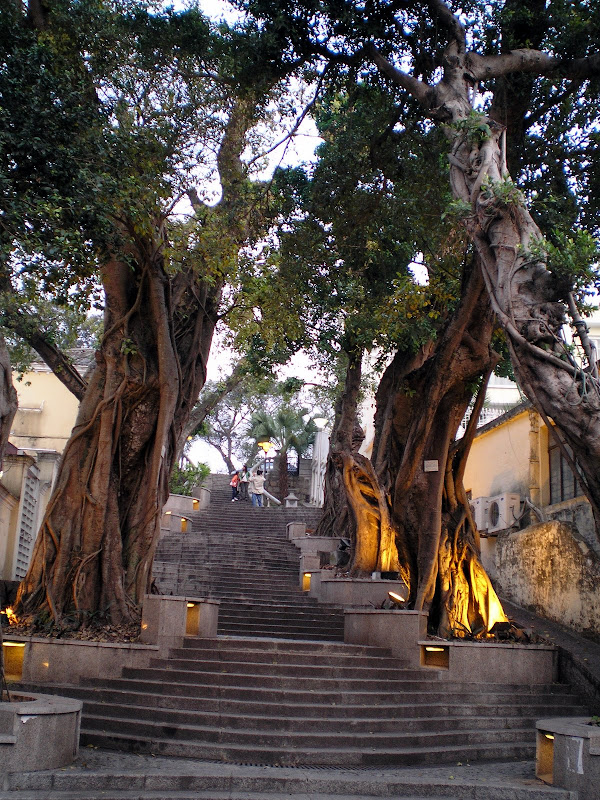 Fim de tarde na Taipa, Macau