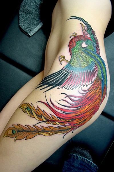 free tattoo designs phoenix tattoo collections free tattoo designs phoenix tattoo collections