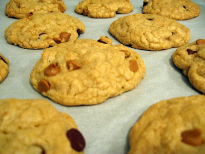 Cooks Illustrated Cookbook on Thick And Chewy Chocolate Chip Cookies From Cooks Illustrated