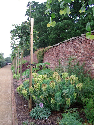 Walled Garden Scampston