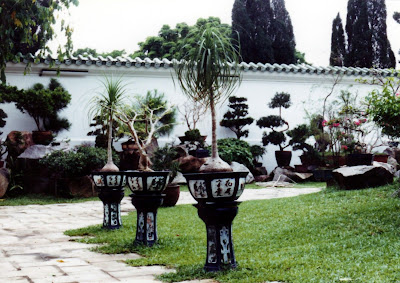 Bonsai garden