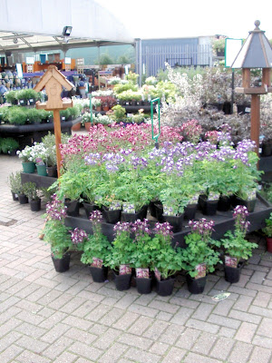 Flower display 1