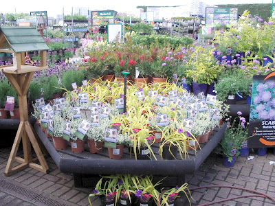Flower display 5