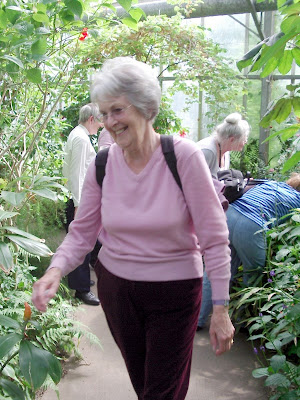 Something is amusing Ann