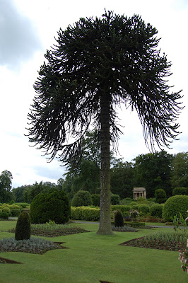 Brodsworth Hall garden 1