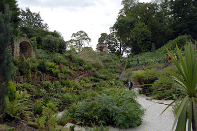 Brodsworth Hall fern garden 1