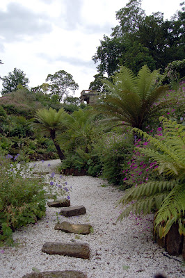 Fern garden