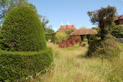 Topiary in meadow garden