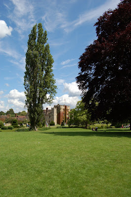 Castle behind trees