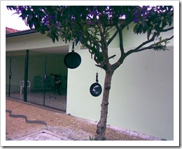 Imagem104