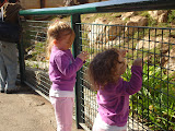 DSC02876.JPG