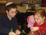 DSC02958.JPG