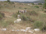 picture 025.jpg