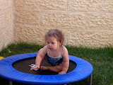 DSC02264.JPG