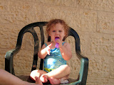 DSC02313.JPG