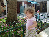 DSC02552.JPG