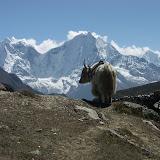 http://lh3.google.com/jozosolty/R7yxoFOXoBE/AAAAAAAACWk/mdXIvjG6L54/s160-c/NepalTrekAs3bKhumbuMaroAMaO.jpg