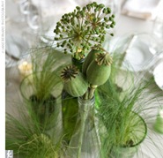 centerpiece pods and herbs