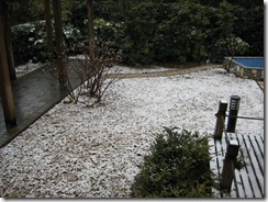 More SNOW!!!