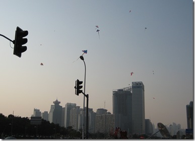 look at all the kites!!