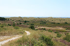 schoorlse duinen