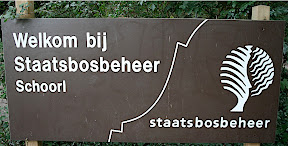 Schoorl