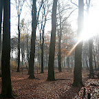 Ede Veluwe