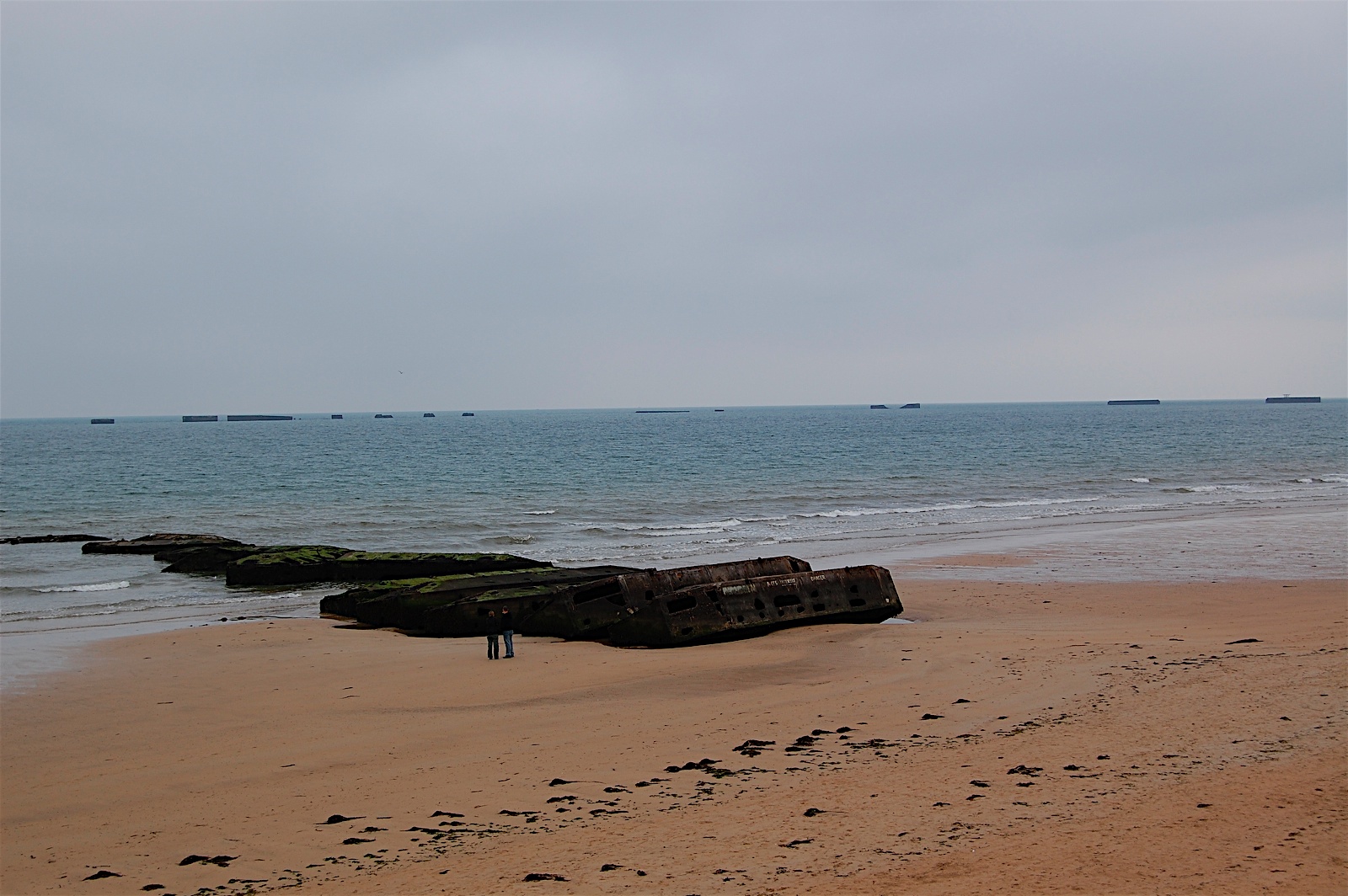 [DSC_0246.JPG]